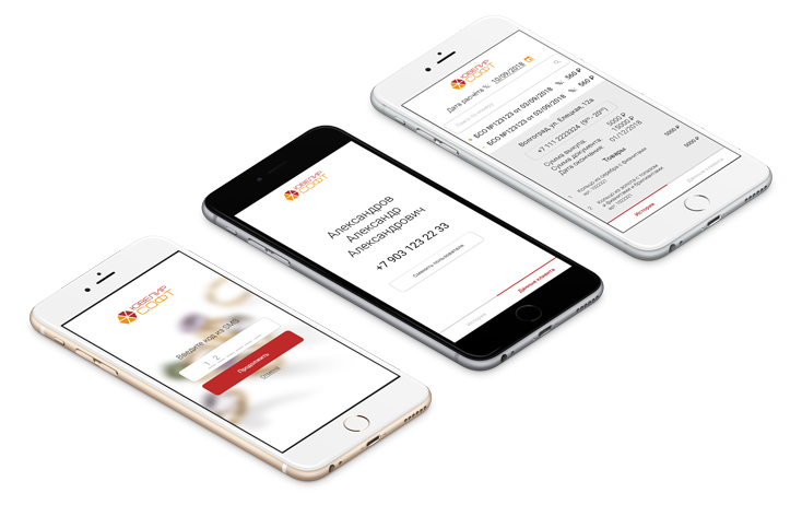 Мобильное приложение заемщика ломбарда Мобильное приложение заемщика ломбарда